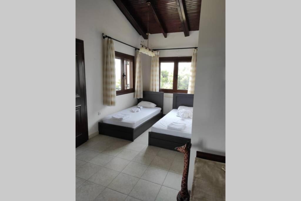 Artemis Penthouse 10 Minute From National Airport Villa Ngoại thất bức ảnh