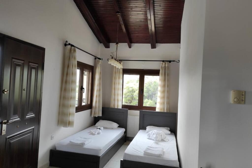 Artemis Penthouse 10 Minute From National Airport Villa Ngoại thất bức ảnh