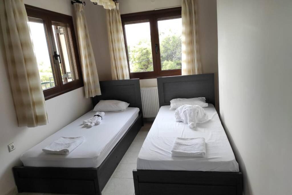 Artemis Penthouse 10 Minute From National Airport Villa Ngoại thất bức ảnh