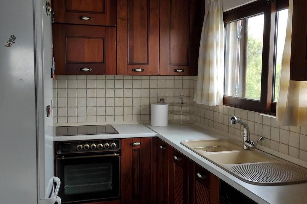 Artemis Penthouse 10 Minute From National Airport Villa Ngoại thất bức ảnh