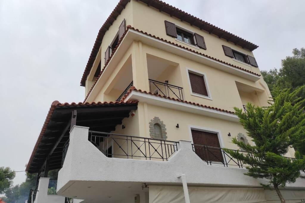 Artemis Penthouse 10 Minute From National Airport Villa Ngoại thất bức ảnh