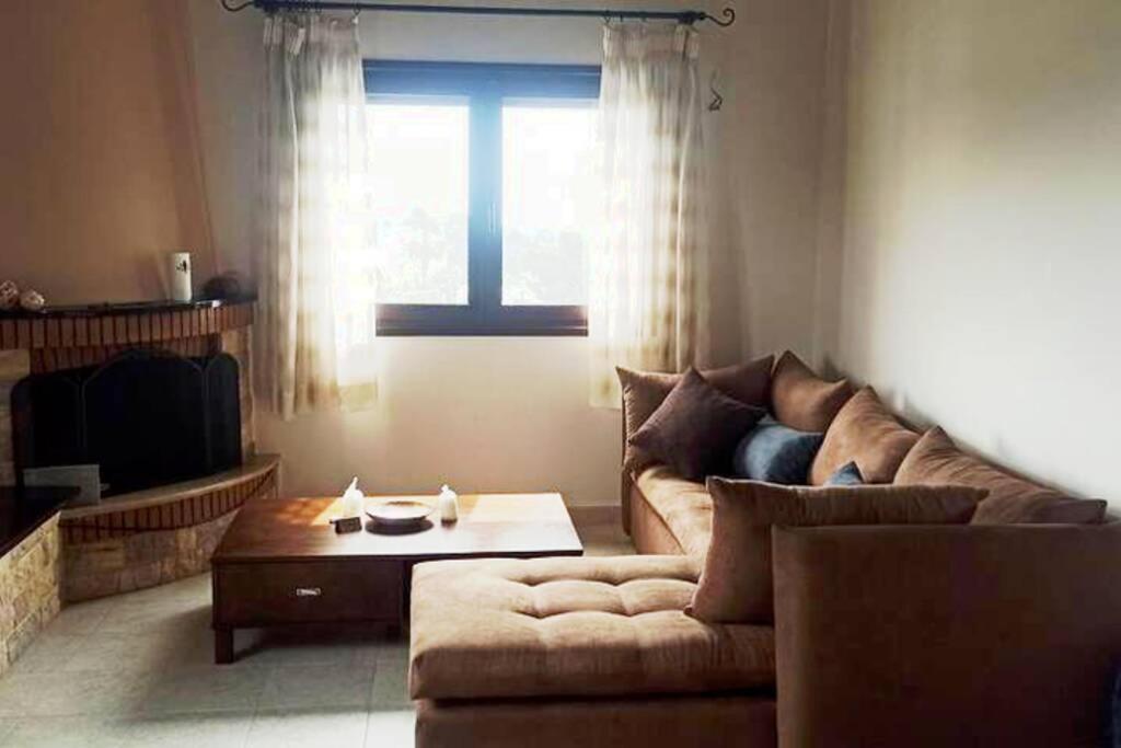 Artemis Penthouse 10 Minute From National Airport Villa Ngoại thất bức ảnh